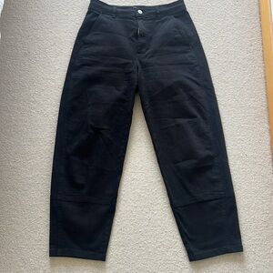 Everlane utility barrel pants